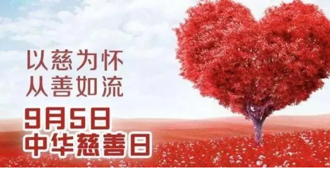 中华慈善日—“汇聚慈善力量,助力乡村振兴”